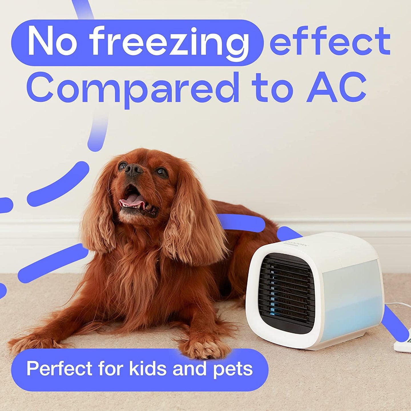 Buy Evapolar evaCHILL - Personal Portable Air Cooler and Humidifier, with USB Connectivity and LED Light, White discounted | Products On Sale Australia