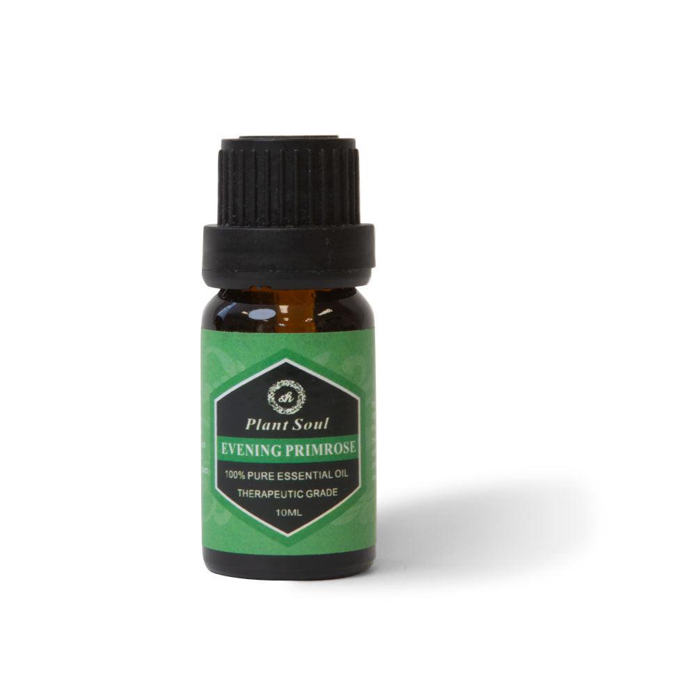 Buy Evening Primrose Essential Oil 10ml Bottle - Aromatherapy discounted | Products On Sale Australia