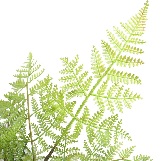 Faux Natural Fern Tree 90cm Products On Sale Australia | Home & Garden > Artificial Plants Category