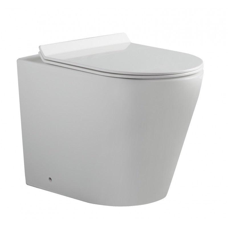 Buy Flay-R Rimless back to wall floor pan discounted | Products On Sale Australia