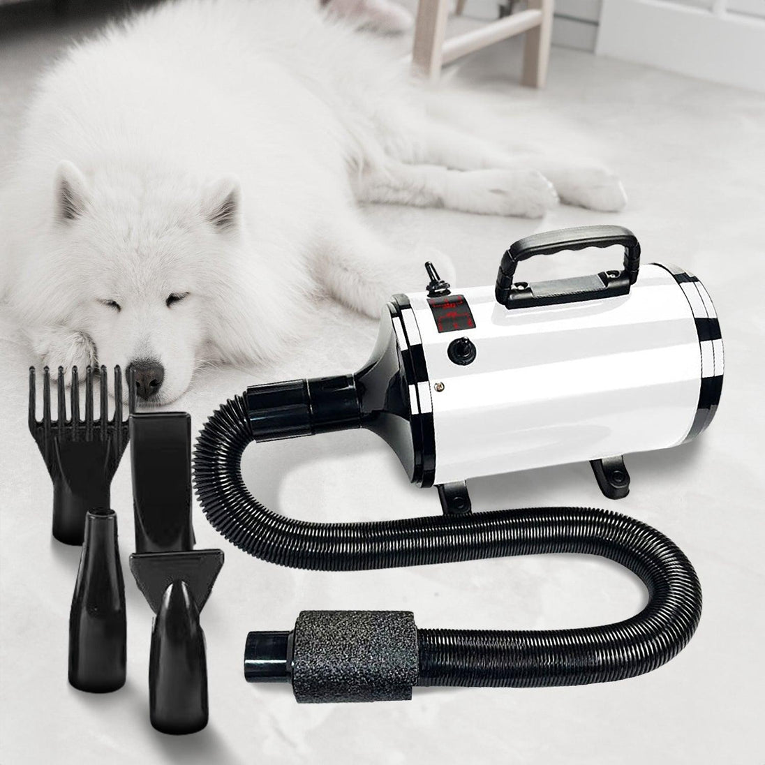 Buy Floofi Pet Hair Dryer Basic (White) discounted | Products On Sale Australia