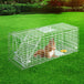 Buy Gardeon Animal Trap Cage Possum 79x28cm discounted | Products On Sale Australia