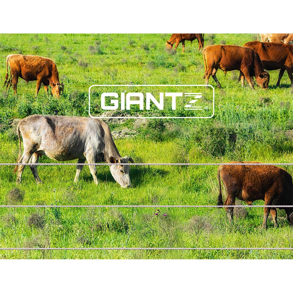 Buy Giantz Electric Fence Poly Wire 2000M discounted | Products On Sale Australia