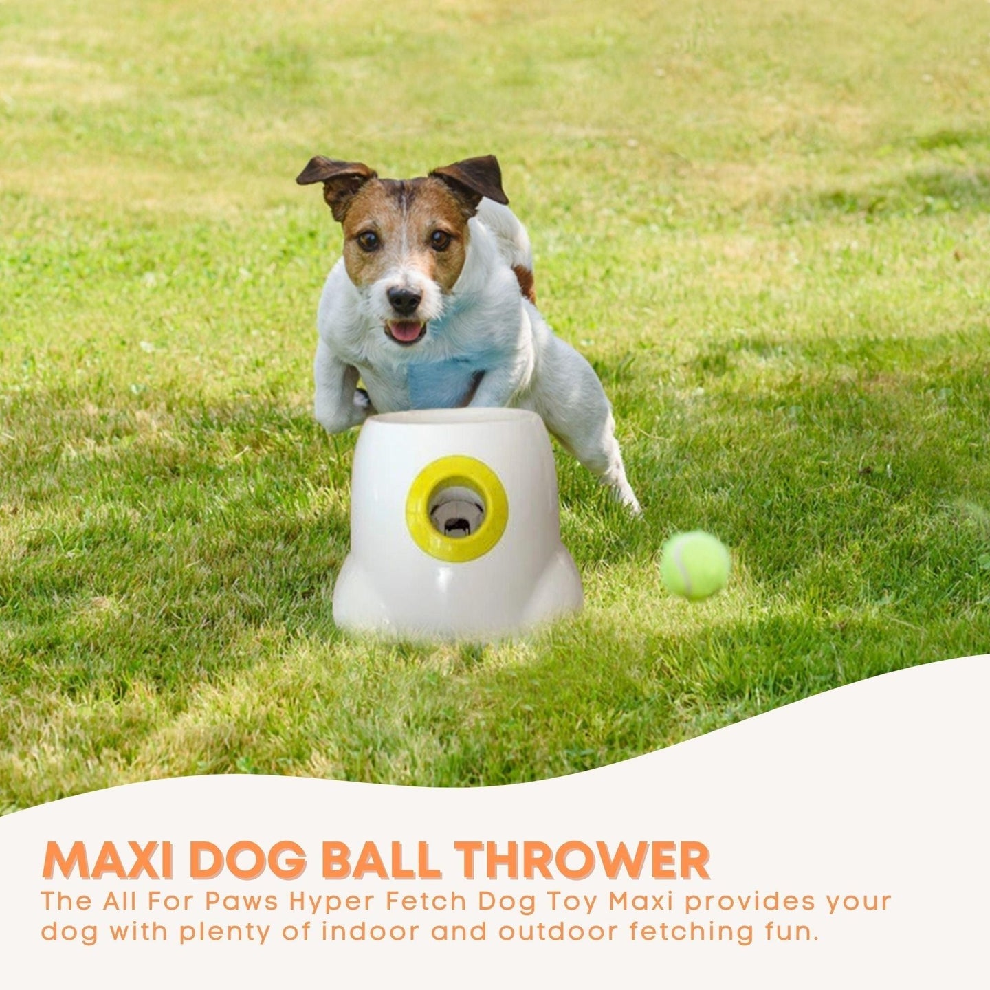 Buy Hyper Fetch Maxi Dog Ball Thrower - Large Interactive Pet Toy Launcher discounted | Products On Sale Australia