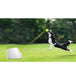 Buy Hyper Fetch Maxi Dog Ball Thrower - Large Interactive Pet Toy Launcher discounted | Products On Sale Australia