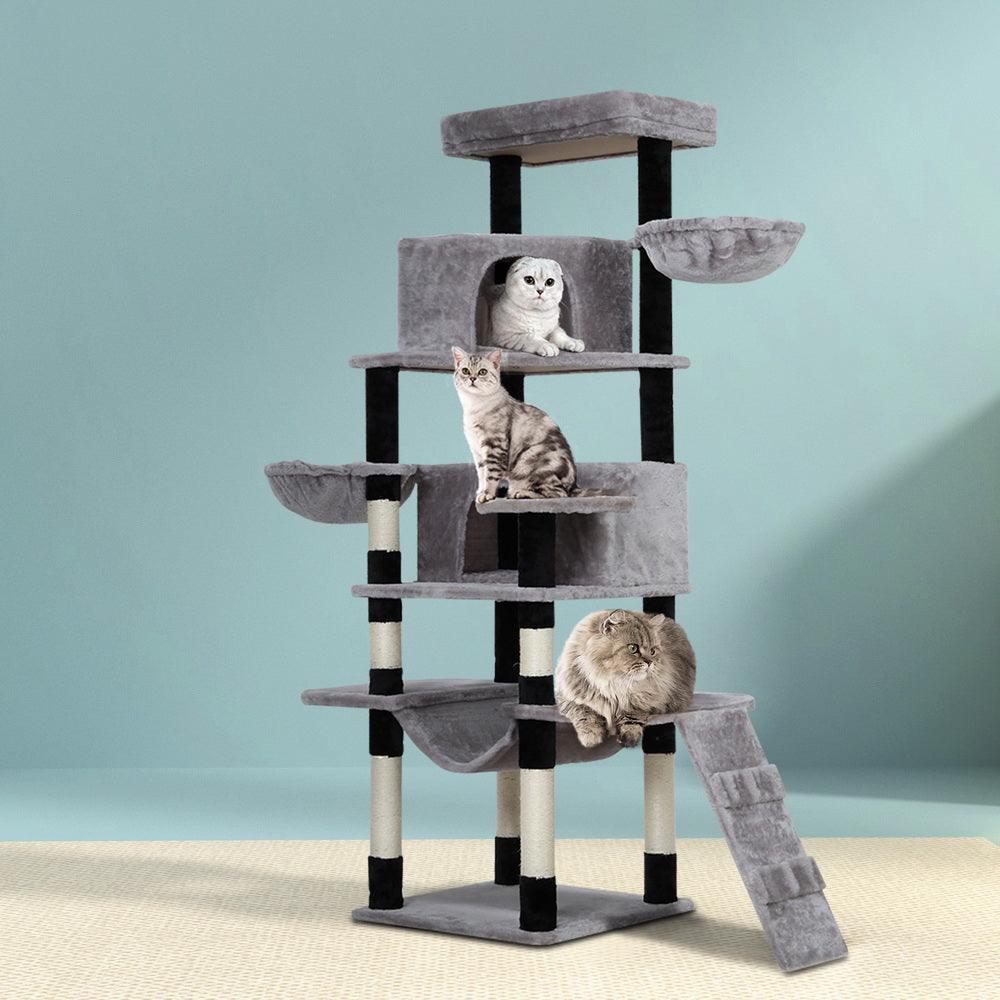 Buy i.Pet Cat Tree 161cm Tower Scratching Post Scratcher Wood Condo House Play Bed discounted | Products On Sale Australia