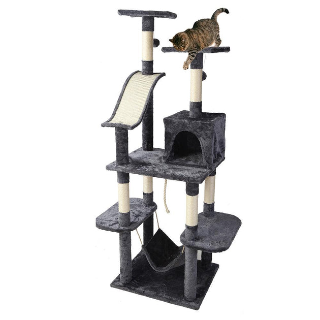 Buy i.Pet Cat Tree 171cm Tower Scratching Post Scratcher Wooden Condo House Bed Toys discounted | Products On Sale Australia