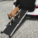 Buy i.Pet Dog Ramp Pet Stairs Steps Car SUV Foldable Portable Ladder Adjustable discounted | Products On Sale Australia