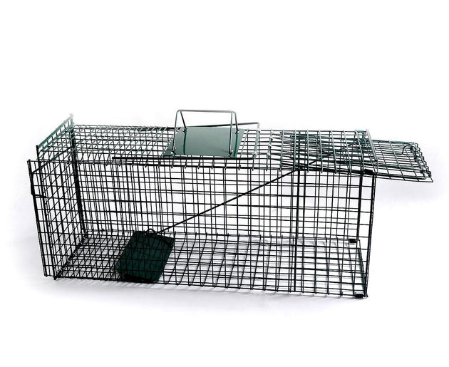 Buy Klika Humane Live Animal Trap Possum Rat Rabbit Hare Catcher Folding Cage discounted | Products On Sale Australia