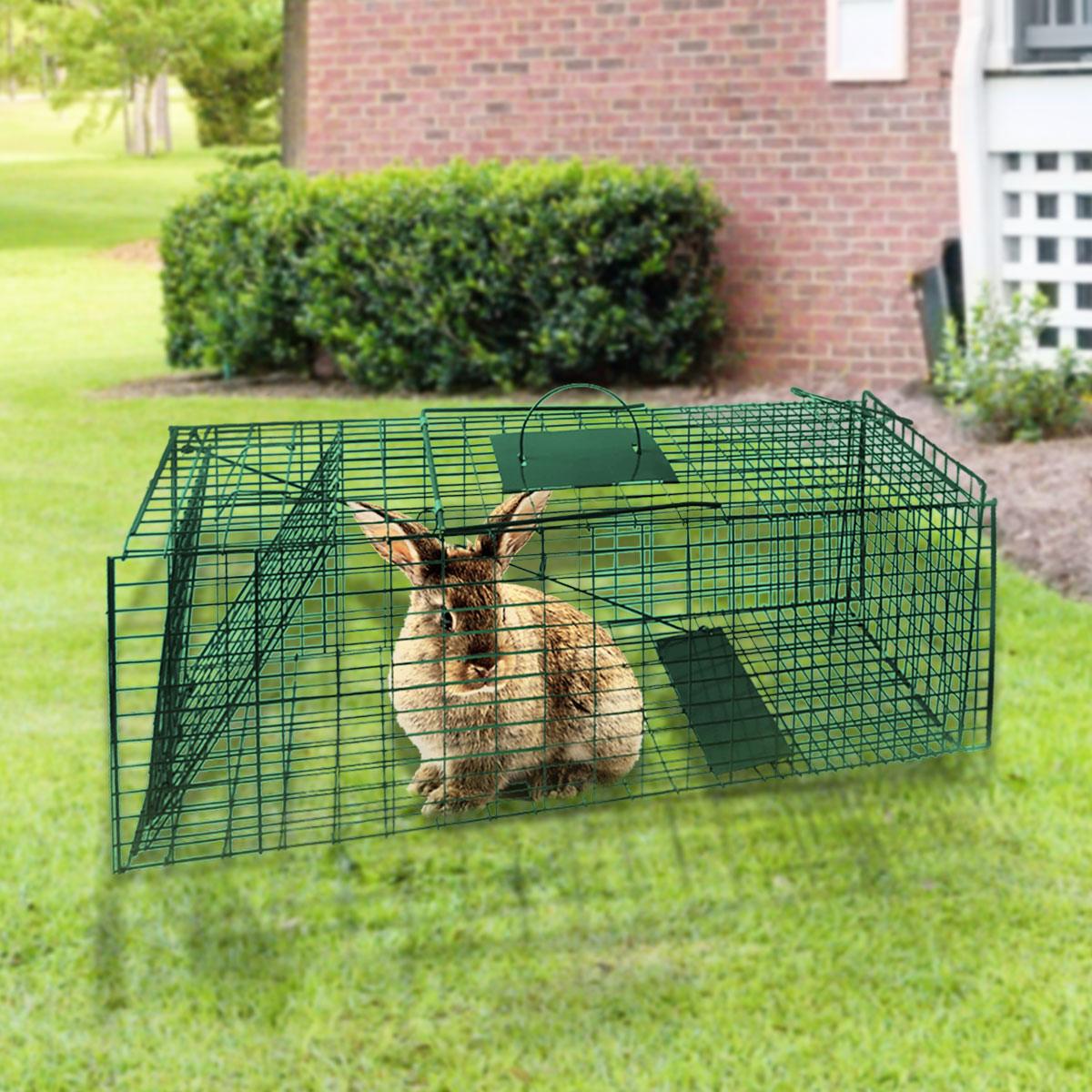 Buy Klika Humane Live Animal Trap Possum Rat Rabbit Hare Catcher Folding Cage discounted | Products On Sale Australia