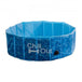 Buy L Dog Swimming Pool Pet Chill Out Plastic Puppy Bath Splash Fun All For Paws discounted | Products On Sale Australia