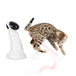 Buy Laser Beam Cat Toy - Interactive Automatic Robot Pointer Pet Kitty Play - AFP discounted | Products On Sale Australia