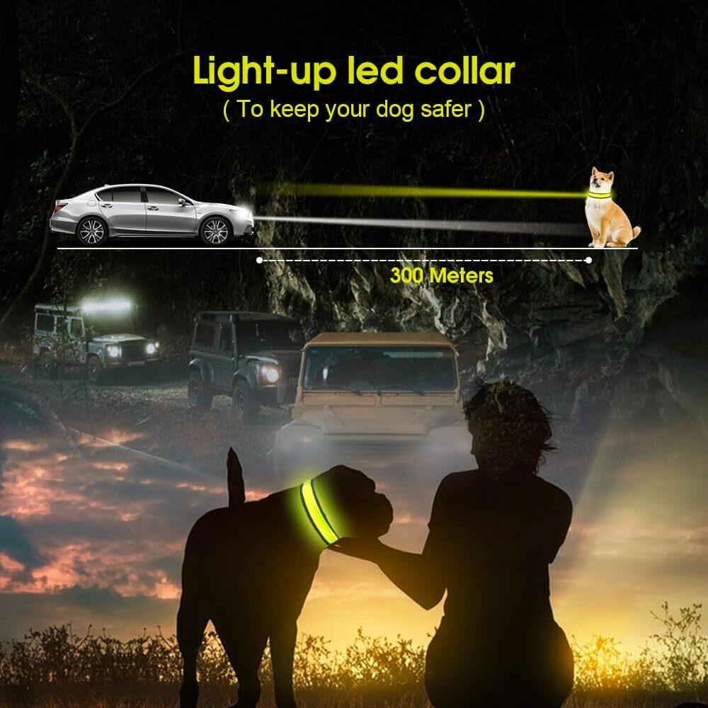 Buy LED Dog Cat Collar USB Rechargeable Nylon Glow Flashing Light Up Safety Puppy discounted | Products On Sale Australia