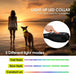 Buy LED Dog Cat Collar USB Rechargeable Nylon Glow Flashing Light Up Safety Puppy discounted | Products On Sale Australia