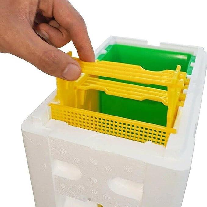 Buy Mini Mating Box Queen Bee Rearing Plastic Styrene Foam Hive Harvest Copulation discounted | Products On Sale Australia