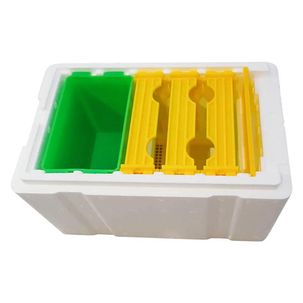 Buy Mini Mating Box Queen Bee Rearing Plastic Styrene Foam Hive Harvest Copulation discounted | Products On Sale Australia