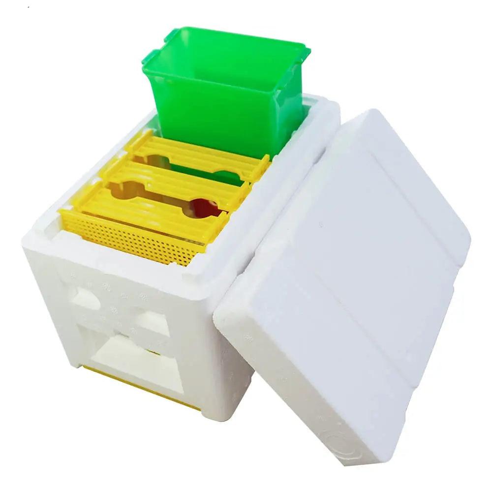 Buy Mini Mating Box Queen Bee Rearing Plastic Styrene Foam Hive Harvest Copulation discounted | Products On Sale Australia