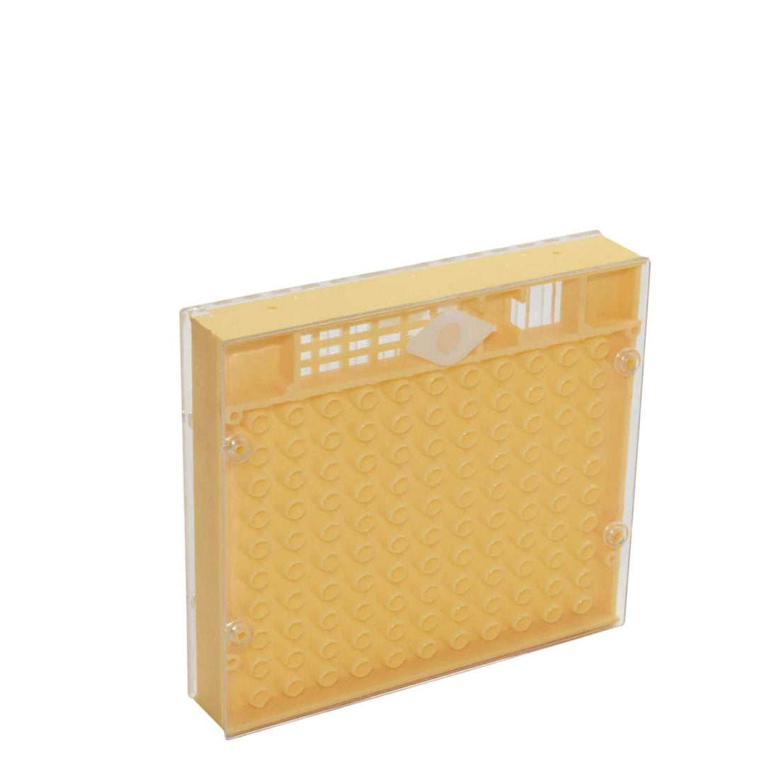 Buy Nicot Queen Bee Rearing System Kit - Basic No Graft Jenter Starter Beekeeping discounted | Products On Sale Australia