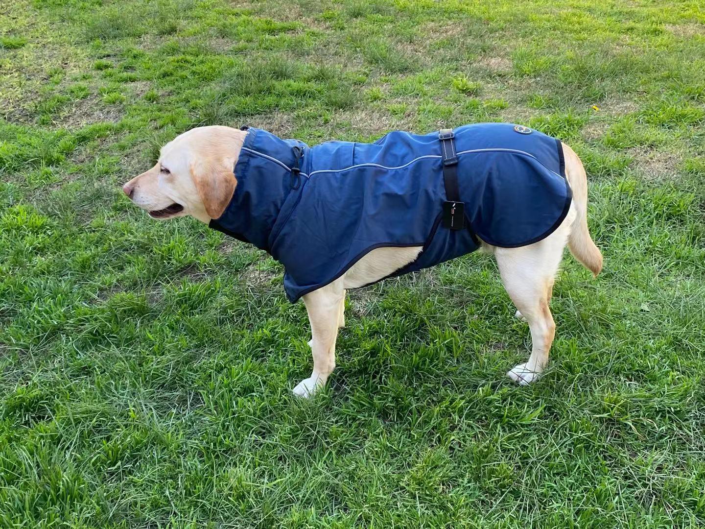 Buy Pet Dog Raincoat Poncho Jacket Windbreaker Waterproof Clothes with Harness Hole-L-Black (Single Layer) discounted | Products On Sale Australia