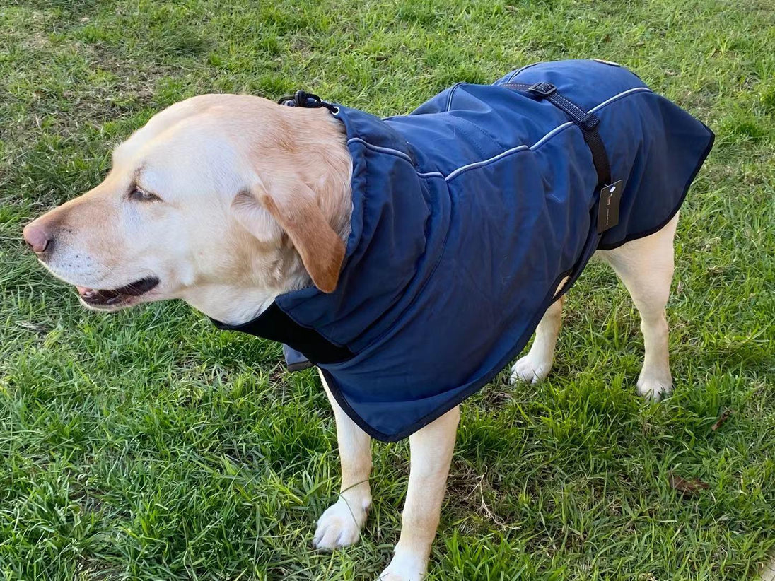 Buy Pet Dog Raincoat Poncho Jacket Windbreaker Waterproof Clothes with Harness Hole-M-Blue discounted | Products On Sale Australia