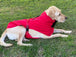 Buy Pet Dog Raincoat Poncho Jacket Windbreaker Waterproof Clothes with Harness Hole-M-Red discounted | Products On Sale Australia