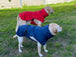 Buy Pet Dog Raincoat Poncho Jacket Windbreaker Waterproof Clothes with Harness Hole-M-Red discounted | Products On Sale Australia