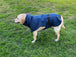 Buy Pet Dog Raincoat Poncho Jacket Windbreaker Waterproof Clothes with Harness Hole-XS-Blue discounted | Products On Sale Australia