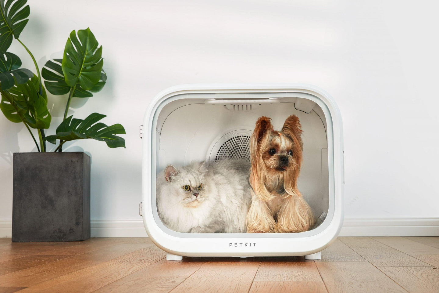 Buy PETKIT AIRSALON Smart Pet Dryer Box discounted | Products On Sale Australia