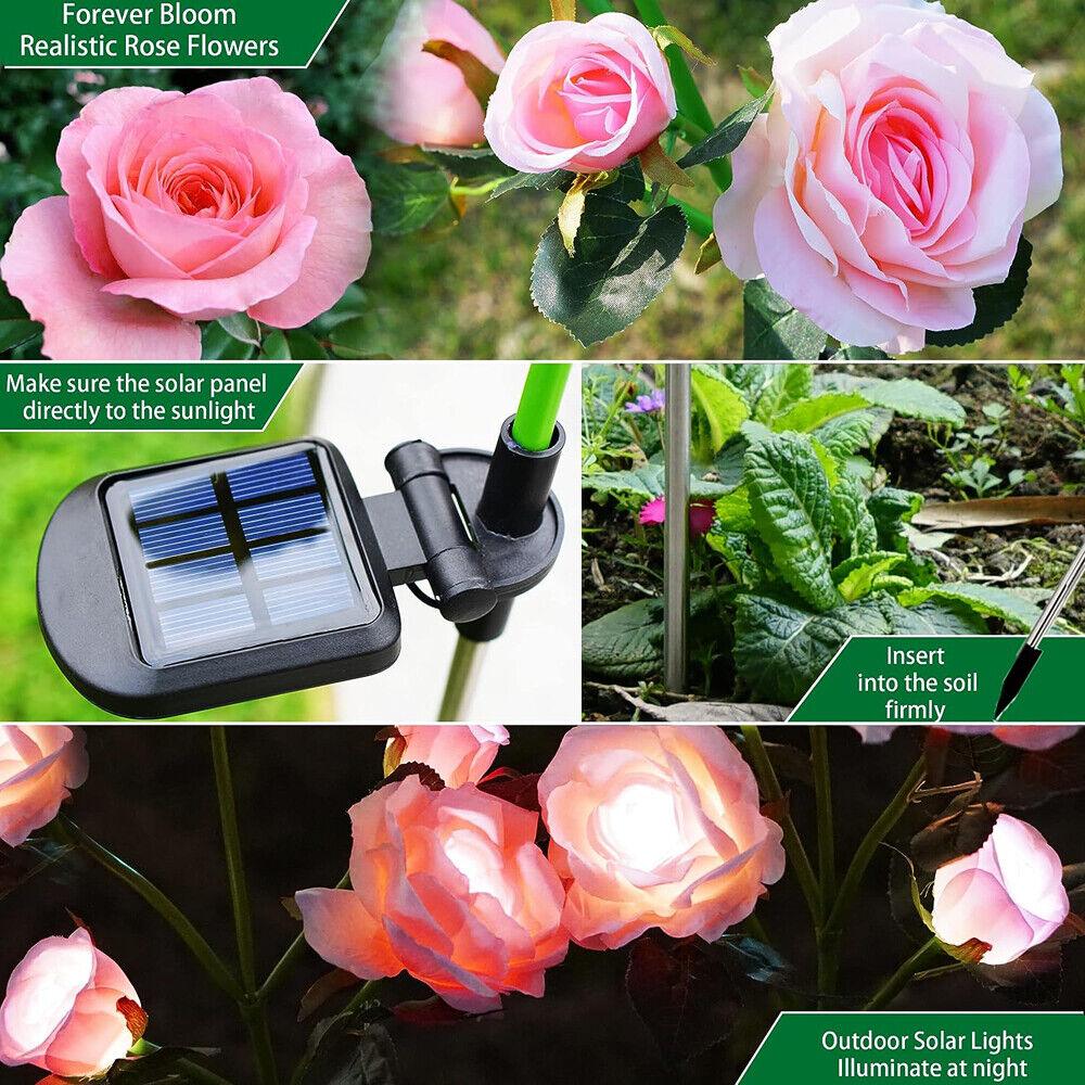 Buy Pink Bulk Solar Garden Lights 75cm Long Rose Flowers Yard Lamp Xmas Halloween Deco AU discounted | Products On Sale Australia