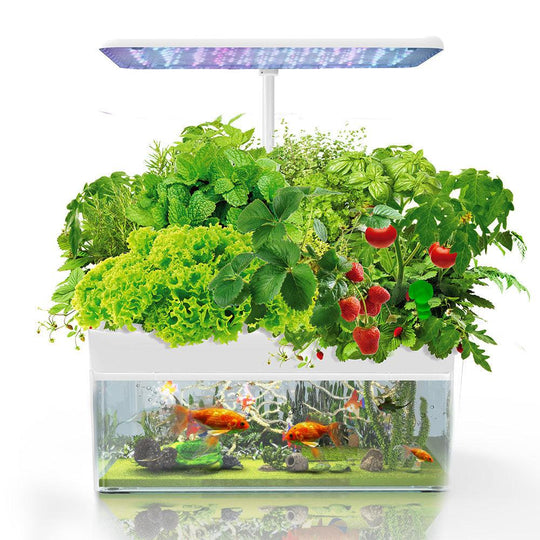 Buy PLANTCRAFT 12 Pod Indoor Hydroponic Growing System with Fish Tank discounted | Products On Sale Australia