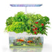 Buy PLANTCRAFT 12 Pod Indoor Hydroponic Growing System with Fish Tank discounted | Products On Sale Australia