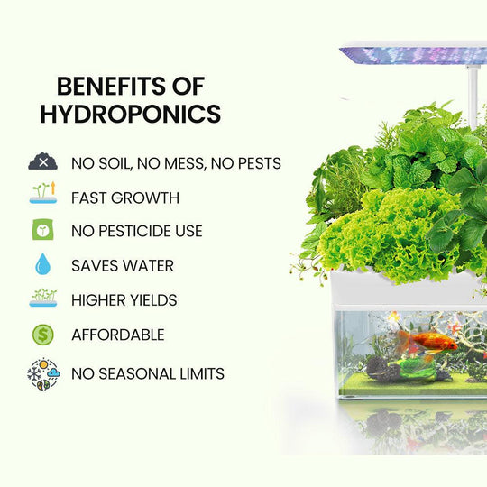 Buy PLANTCRAFT 12 Pod Indoor Hydroponic Growing System with Fish Tank discounted | Products On Sale Australia