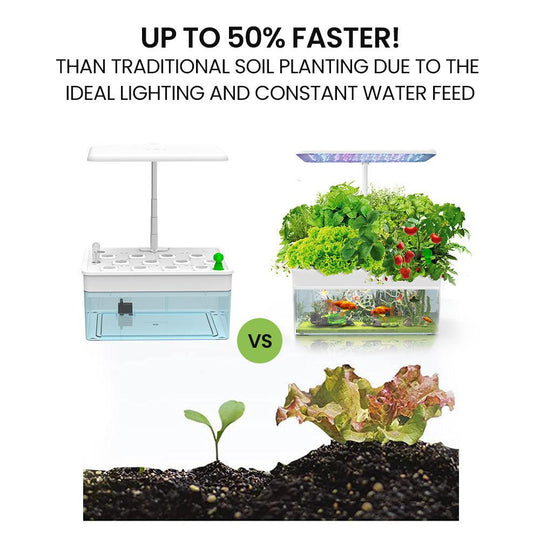 Buy PLANTCRAFT 12 Pod Indoor Hydroponic Growing System with Fish Tank discounted | Products On Sale Australia