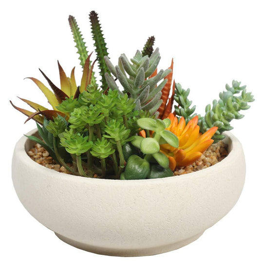 Buy Potted Artificial Succulent Bowl with Natural Stone Pot 21cm discounted | Products On Sale Australia