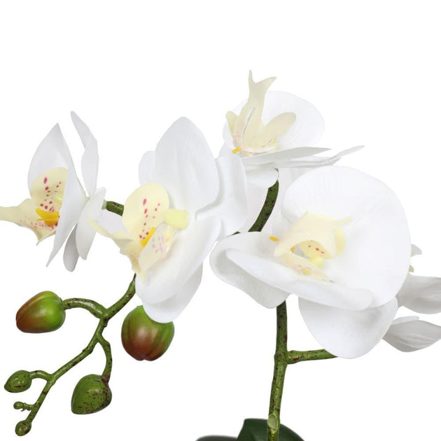 Potted Single Stem White Phalaenopsis Orchid with Decorative Pot 35cm Products On Sale Australia | Home & Garden > Artificial Plants Category