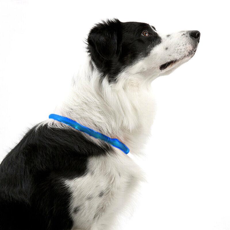 Buy Rechargeable Night LED Dog Collar USB Glow Flashing Light Up Pet Collars Safety-Blue-Diameter Length-35cm discounted | Products On Sale Australia