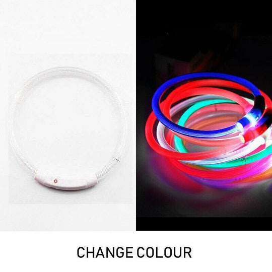 Buy Rechargeable Night LED Dog Collar USB Glow Flashing Light Up Pet Collars Safety-Red-Diameter Length-35cm discounted | Products On Sale Australia