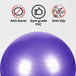 Buy VERPEAK Yoga Ball 75cm (Purple) discounted | Products On Sale Australia