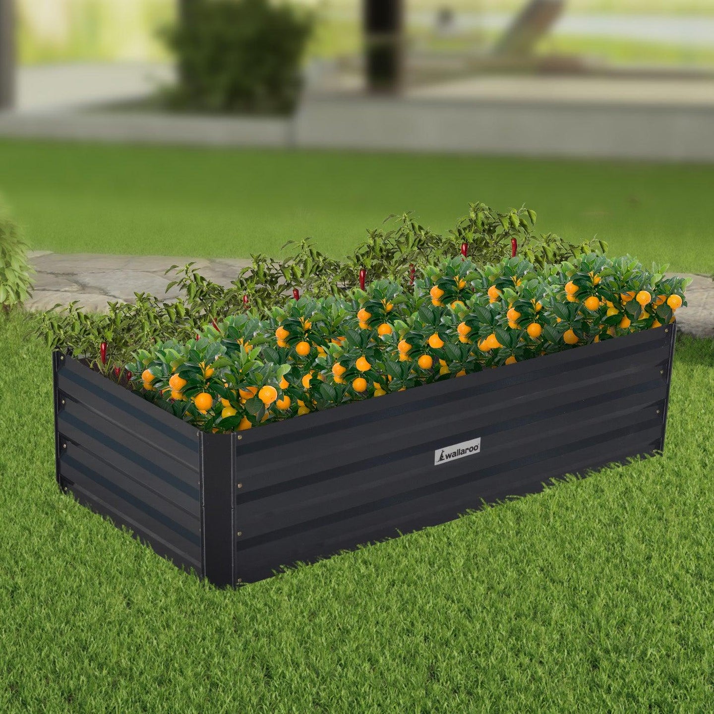 Buy Wallaroo Garden Bed 120 x 60 x 30cm Galvanized Steel - Black discounted | Products On Sale Australia