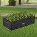 Buy Wallaroo Garden Bed 120 x 60 x 30cm Galvanized Steel - Black discounted | Products On Sale Australia