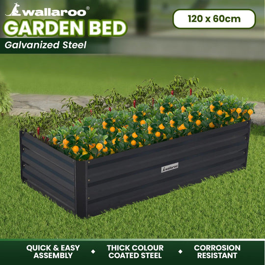Buy Wallaroo Garden Bed 120 x 60 x 30cm Galvanized Steel - Black discounted | Products On Sale Australia