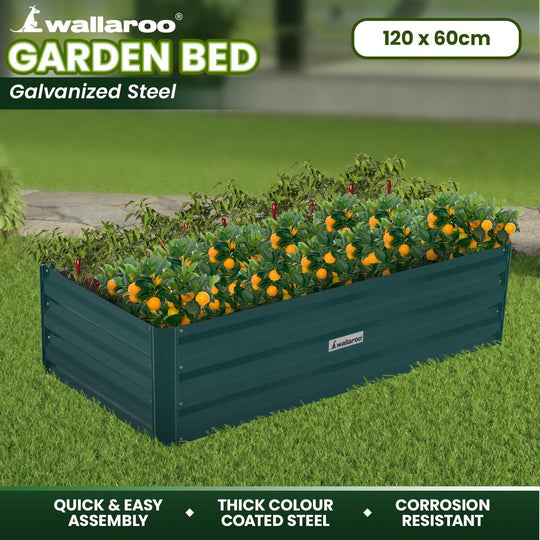 Buy Wallaroo Garden Bed 120 x 60 x 30cm Galvanized Steel - Green discounted | Products On Sale Australia