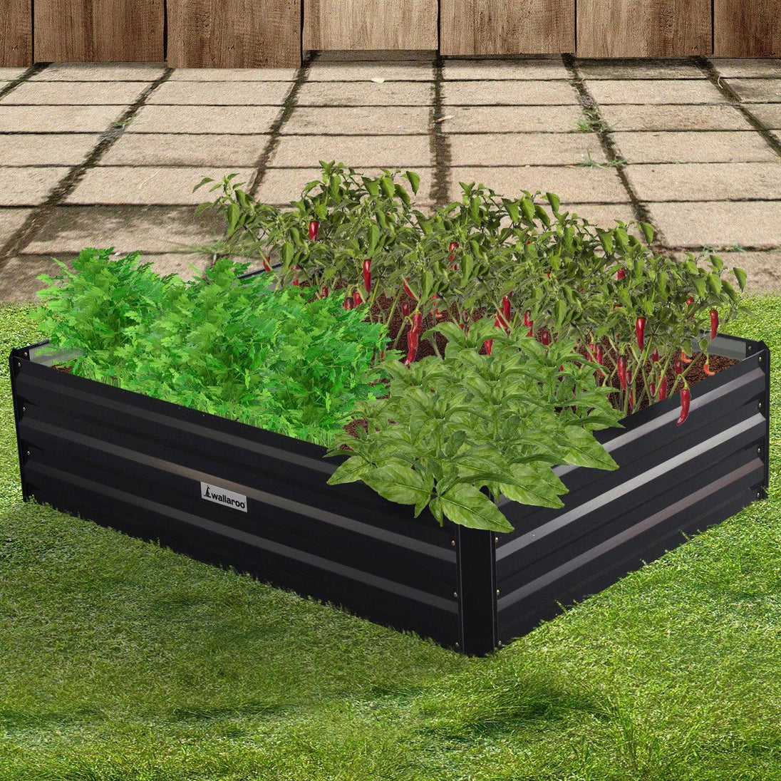 Buy Wallaroo Garden Bed 120 x 90 x 30cm Galvanized Steel - Black discounted | Products On Sale Australia