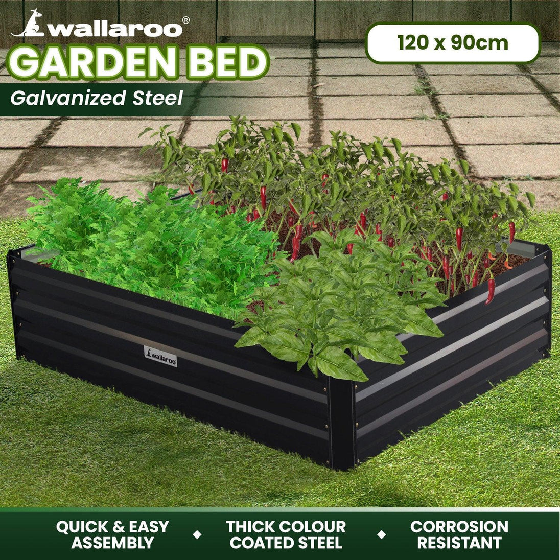 Buy Wallaroo Garden Bed 120 x 90 x 30cm Galvanized Steel - Black discounted | Products On Sale Australia