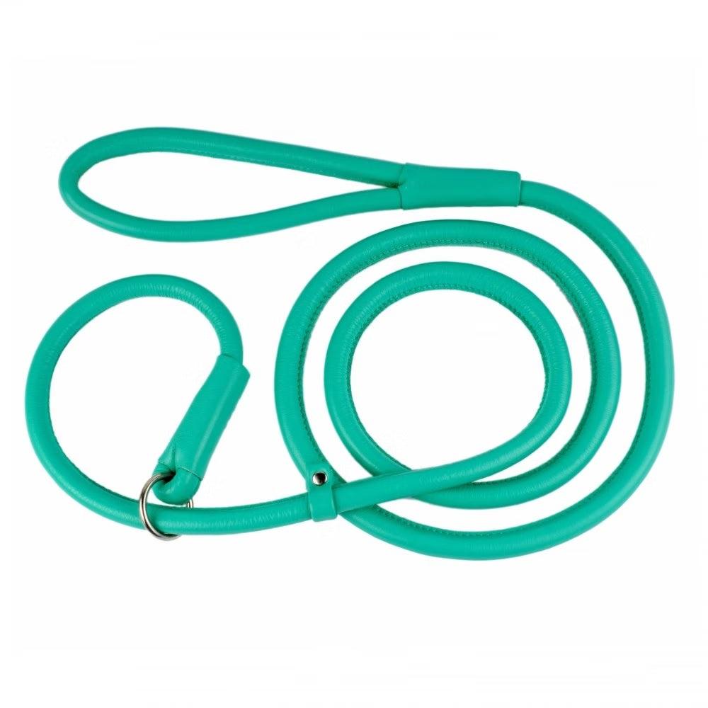 Buy Waudog Leather Round Slip Leash W10MM-L183CM MINT discounted | Products On Sale Australia