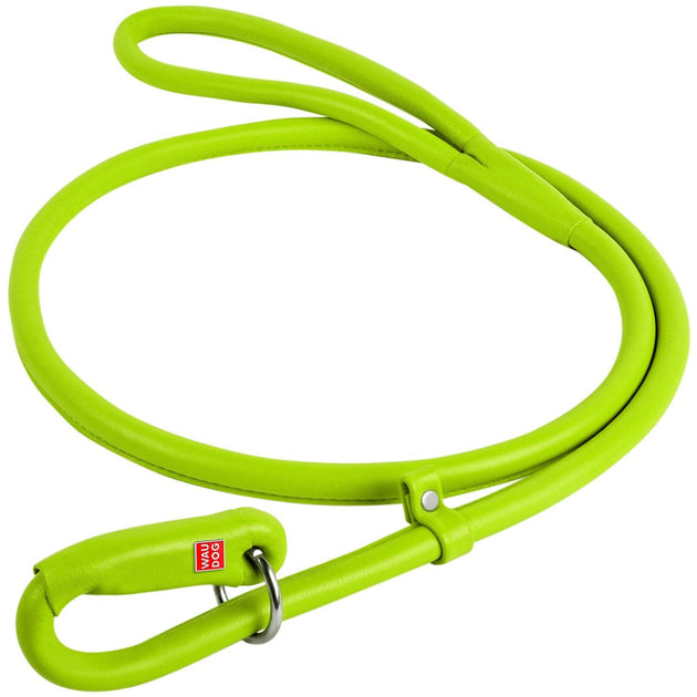 Buy Waudog Leather Round Slip Leash W13MM-L183CM GREEN discounted | Products On Sale Australia