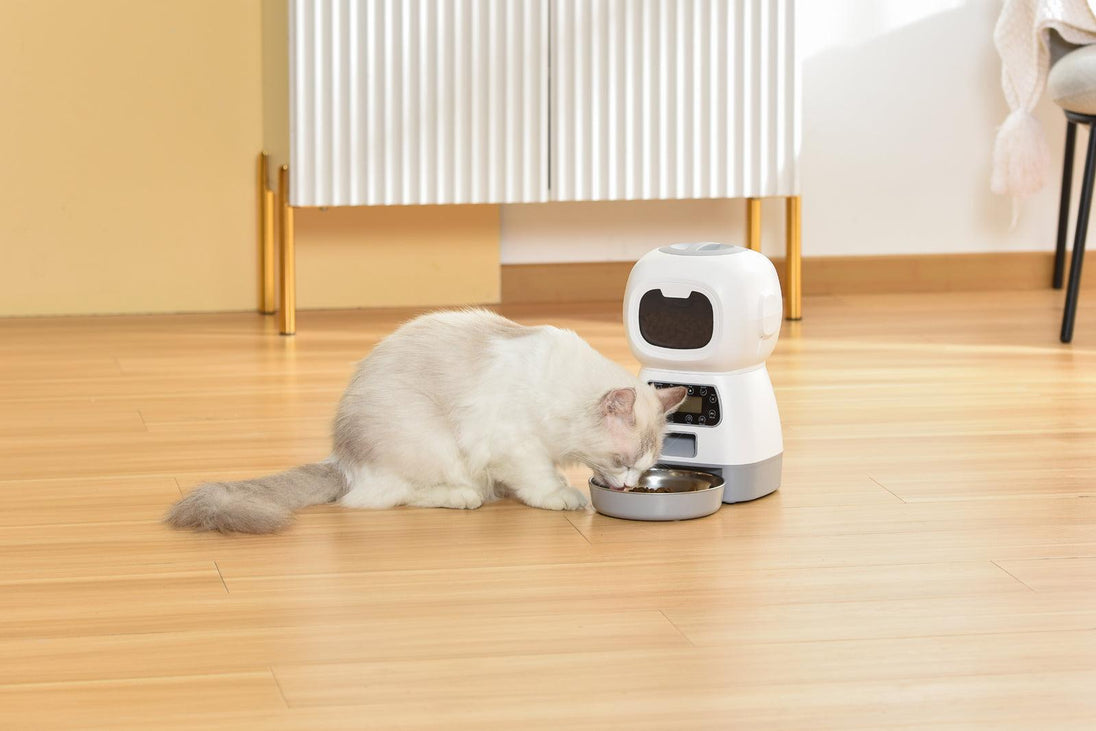 Buy YES4PETS 3.5L Visible Automatic Digital Pet Dog Cat Feeder Food Bowl Dispenser discounted | Products On Sale Australia