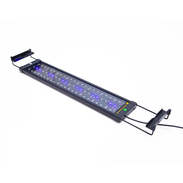 Buy 11W Aquarium Blue White LED Light for Tank 50-70cm discounted | Products On Sale Australia