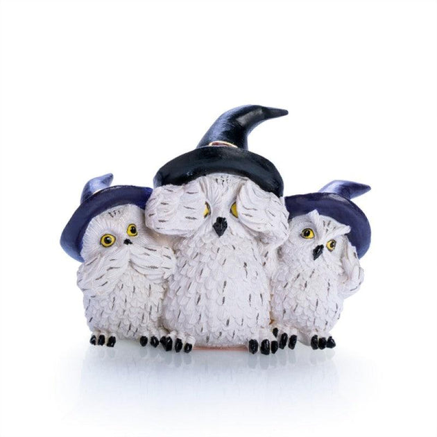 Buy 3 Wise Snowy Owls discounted | Products On Sale Australia