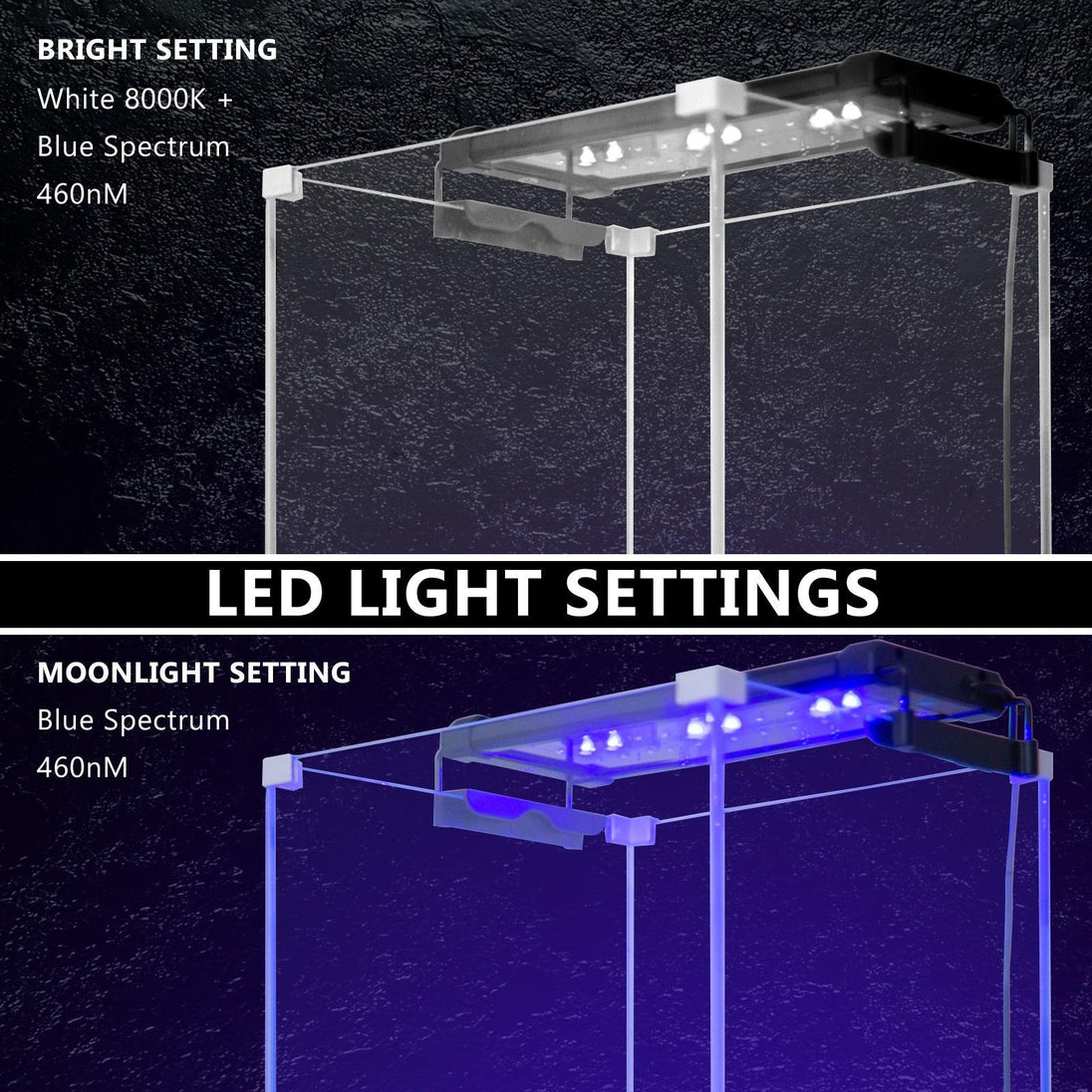 Buy 6W Aquarium Blue White LED Light for Tank 30-50cm discounted | Products On Sale Australia